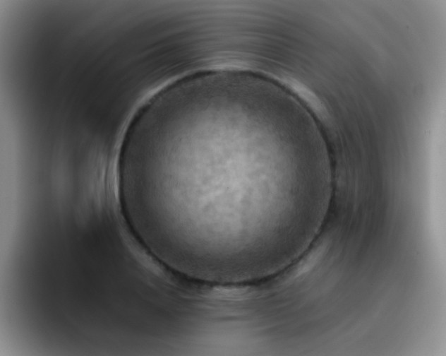 X0000092220840200709141043