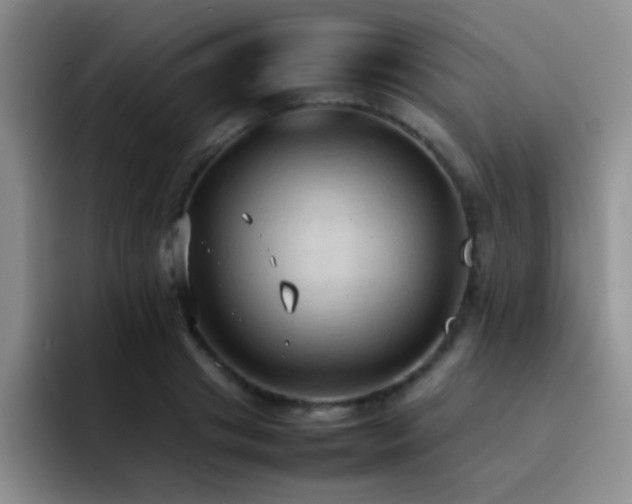 X0000092220841200709141043