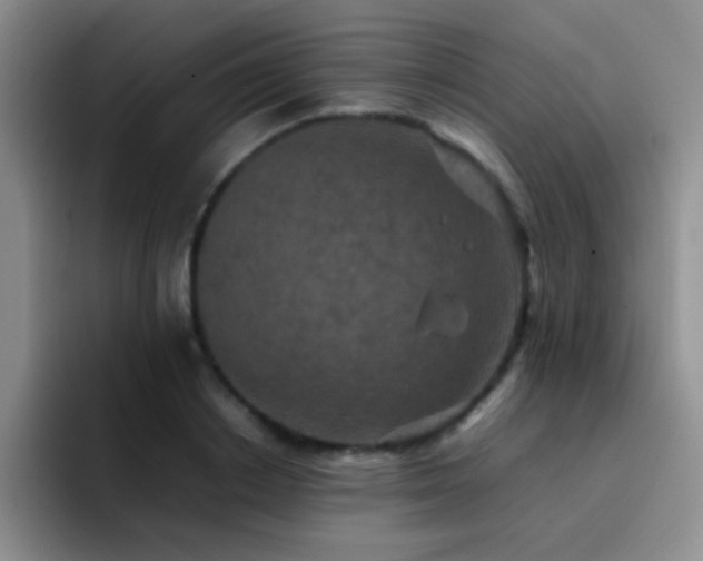 X0000092220842200709141043