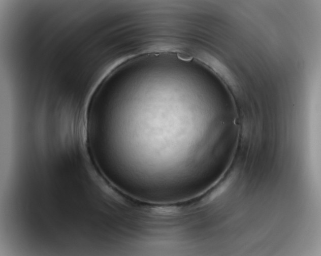 X0000092220844200709141043