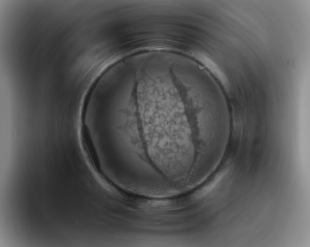 X0000092220845200709141043