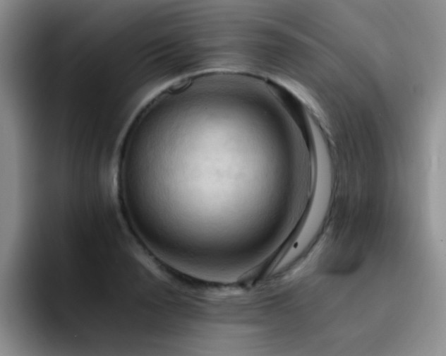 X0000092220846200709141043