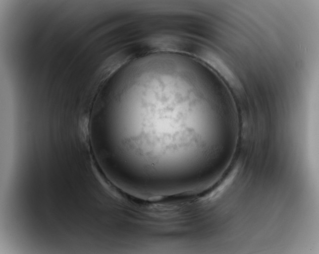 X0000092220849200709141043