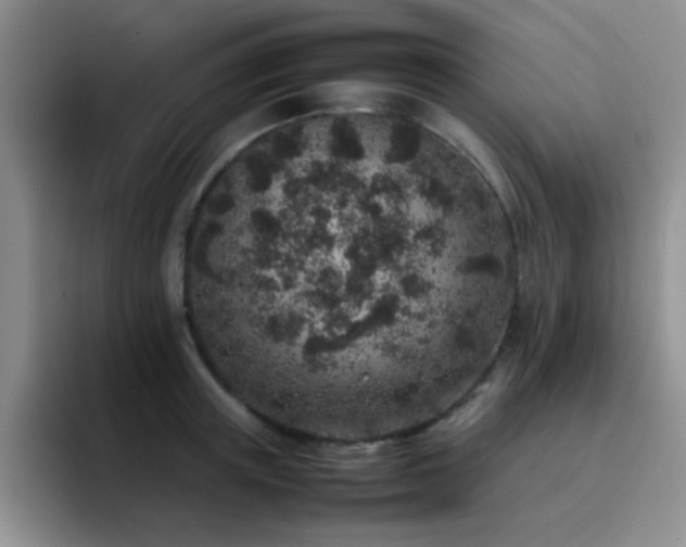 X0000092220851200709141043