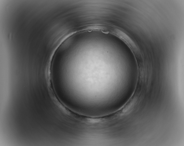 X0000092220852200709141043