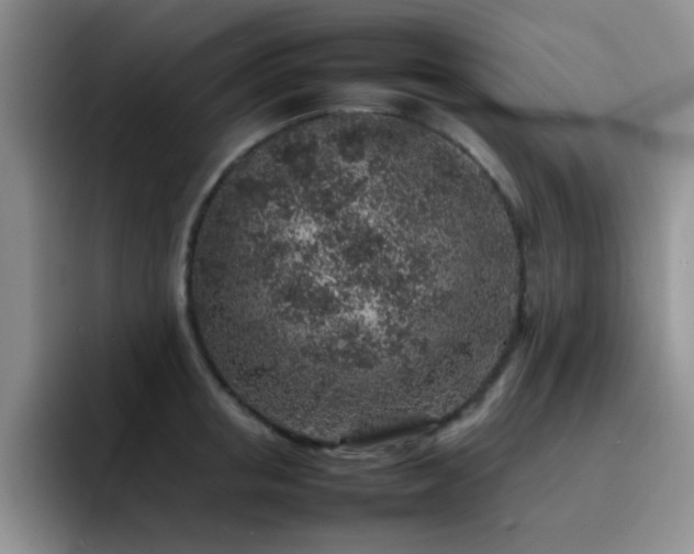 X0000092220853200709141043