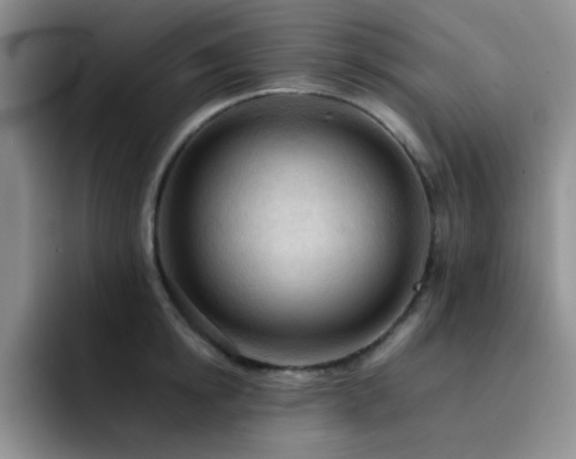 X0000092220854200709141043