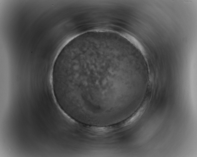 X0000092220855200709141043