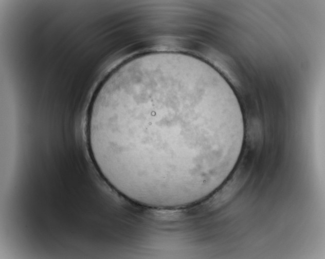 X0000092220856200709141043