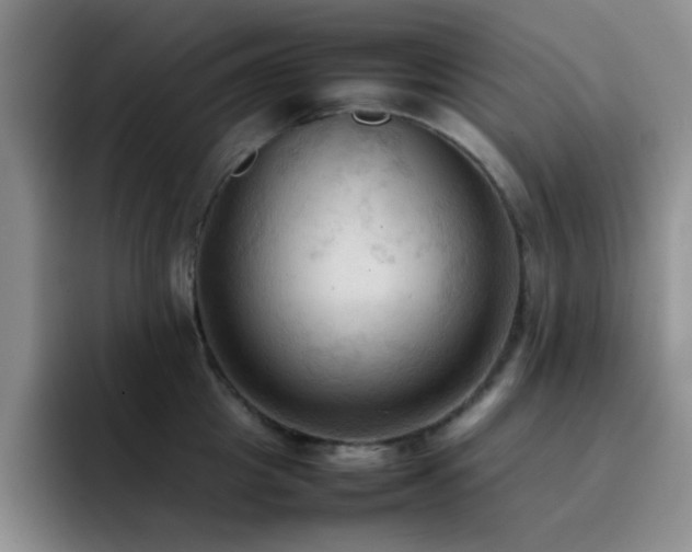 X0000092220857200709141043
