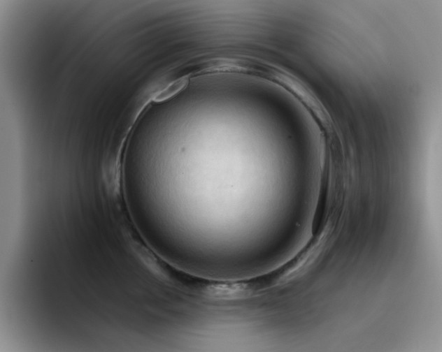 X0000092220858200709141043