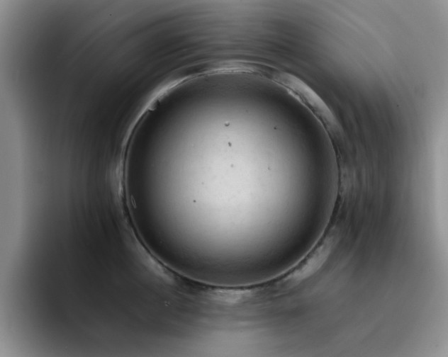 X0000092220860200709141043