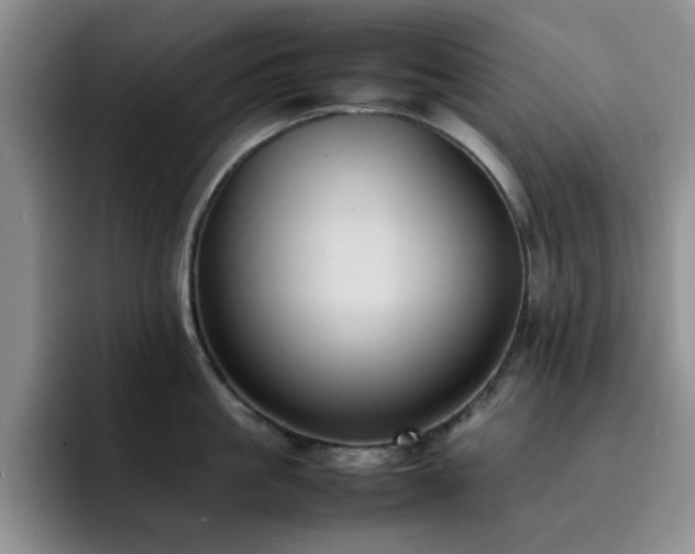 X0000092220861200709141043