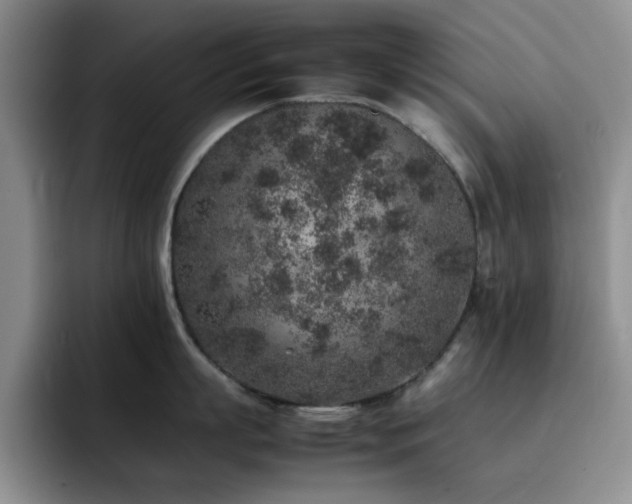 X0000092220863200709141043