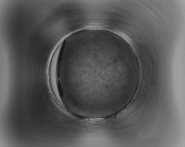 X0000092220864200709141043