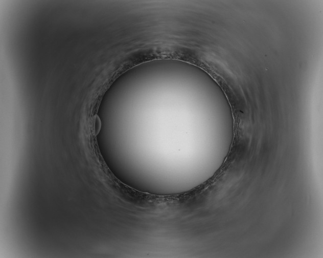 X0000092220865200709141042
