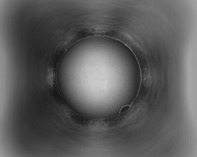 X0000092220866200709141042