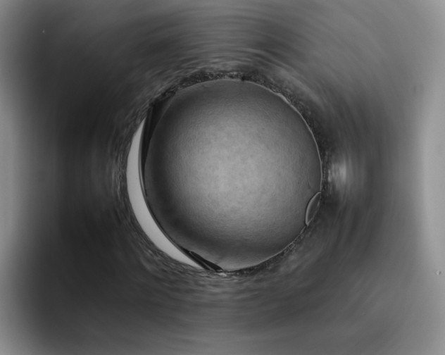 X0000092220868200709141042