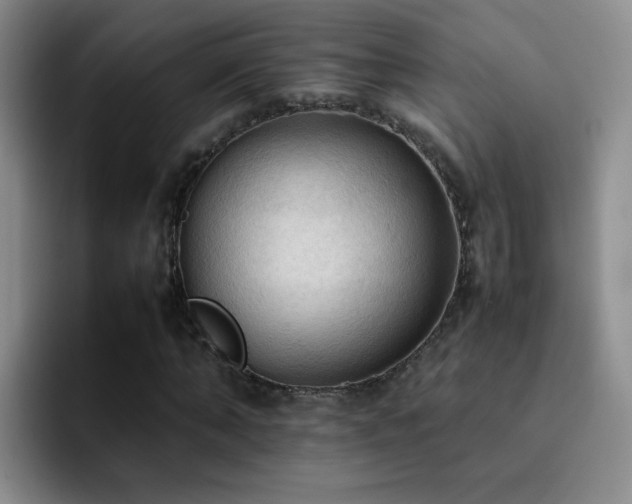 X0000092220870200709141042
