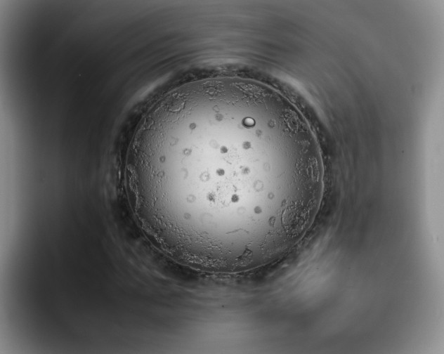 X0000092220871200709141042