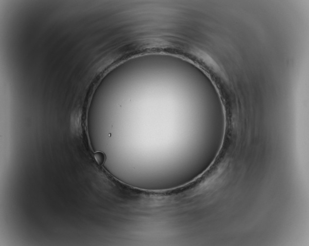 X0000092220873200709141042