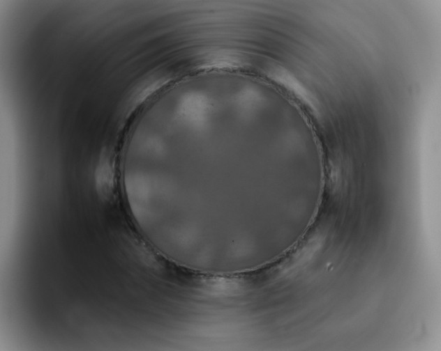 X0000092220874200709141042