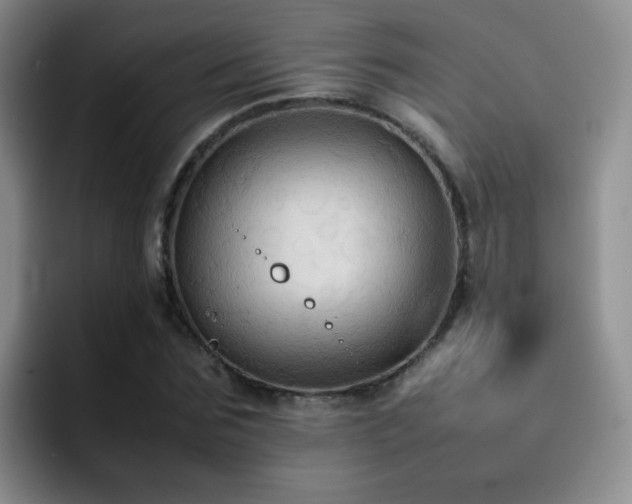 X0000092220875200709141042