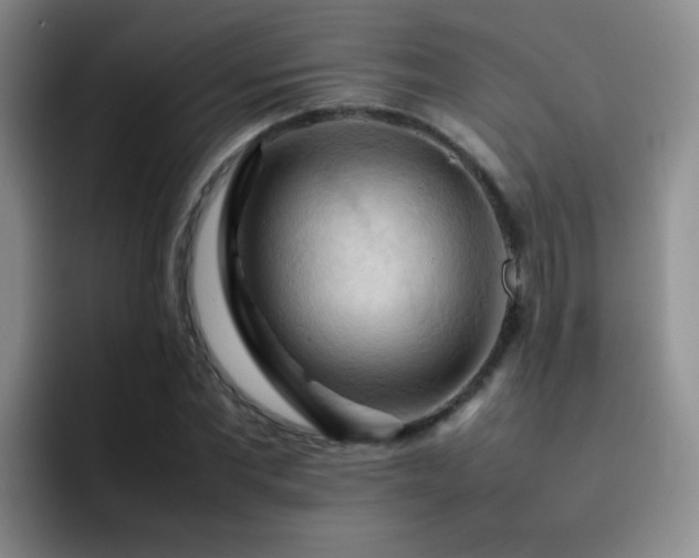 X0000092220877200709141042