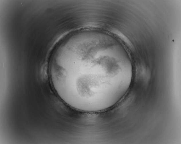 X0000092220878200709141042