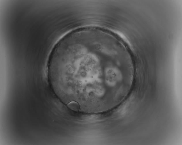 X0000092220879200709141042