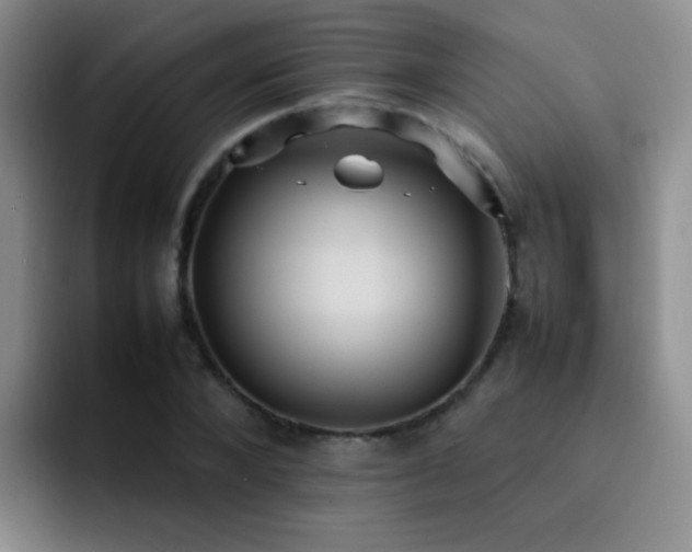 X0000092220880200709141042