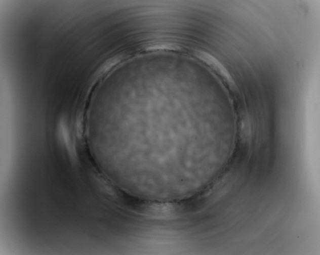 X0000092220882200709141042