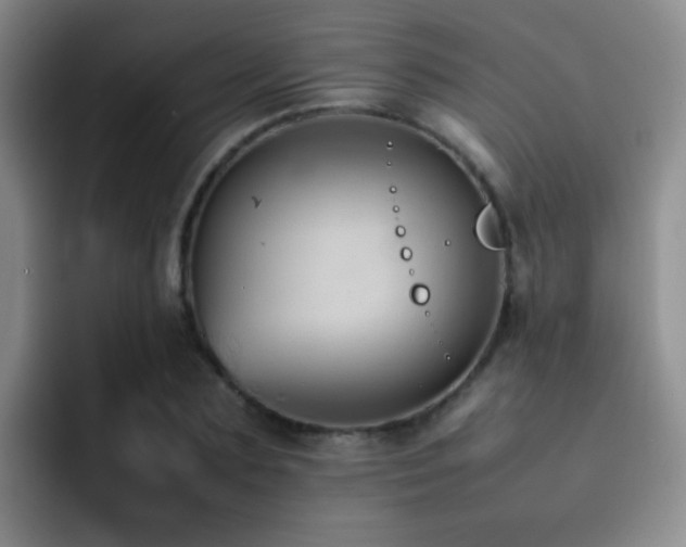 X0000092220883200709141042