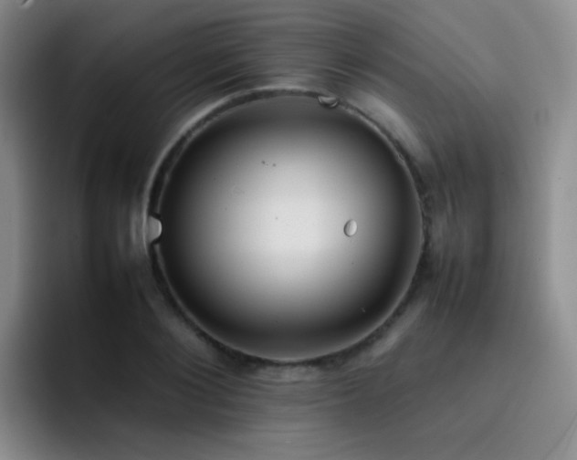 X0000092220884200709141042