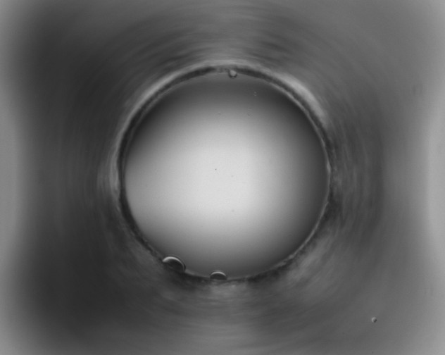 X0000092220887200709141042