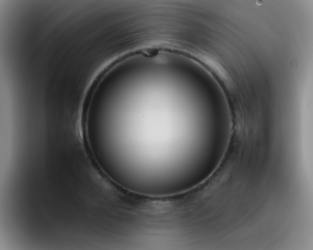 X0000092220888200709141042