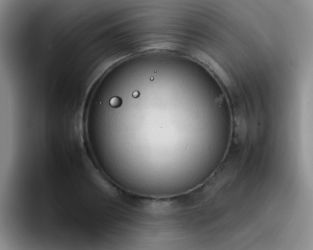 X0000092220890200709141042