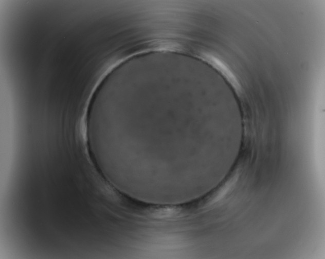 X0000092220891200709141042