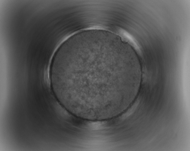 X0000092220892200709141042