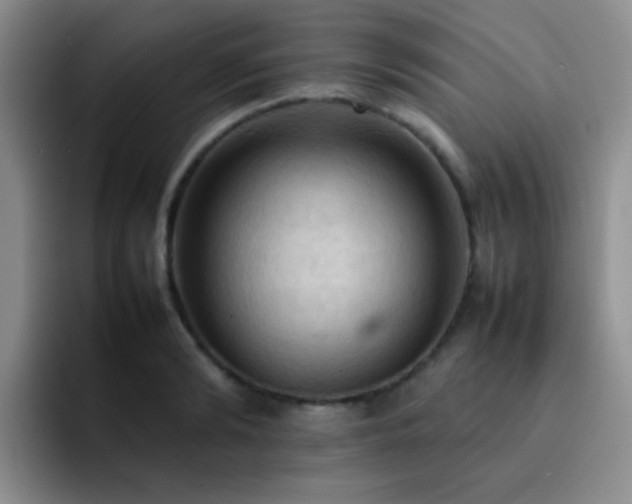 X0000092220894200709141042