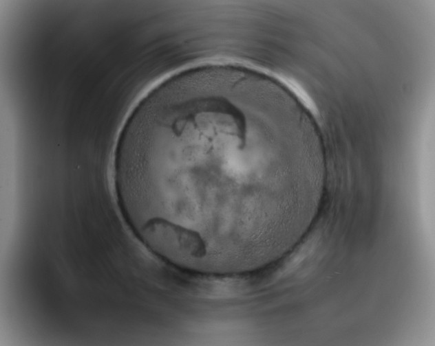 X0000092220895200709141042