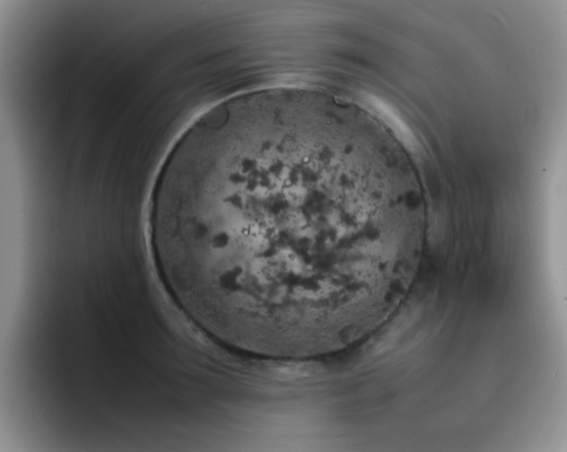 X0000092220899200709141042