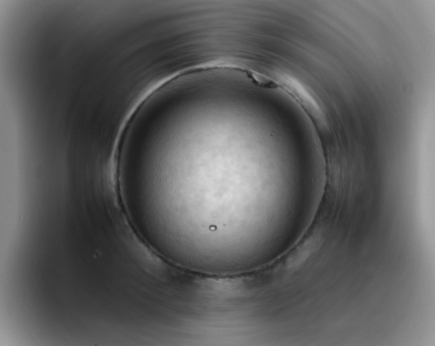 X0000092220900200709141042