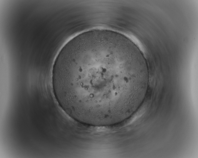 X0000092220903200709141042