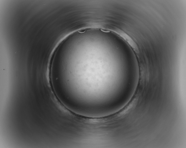 X0000092220904200709141042
