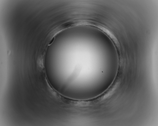 X0000092220905200709141042