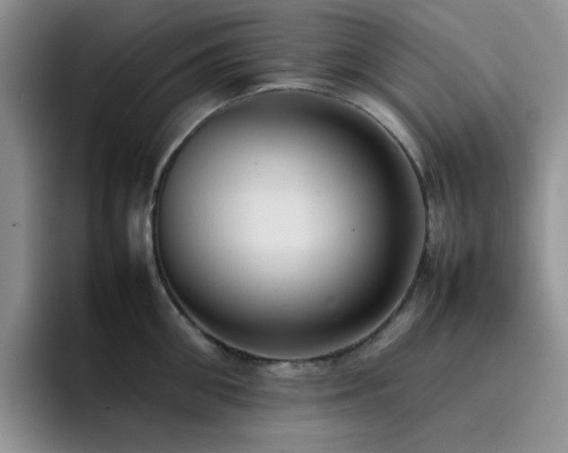 X0000092220906200709141042