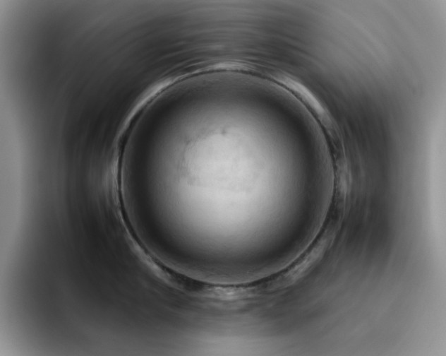 X0000092220910200709141042