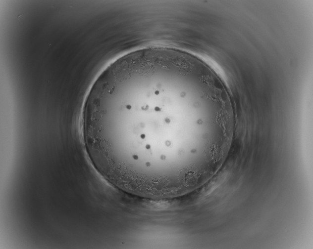 X0000092220911200709141042