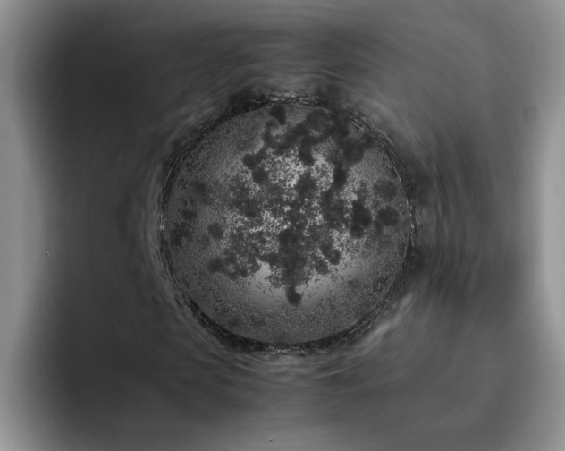 X0000092220913200709141041